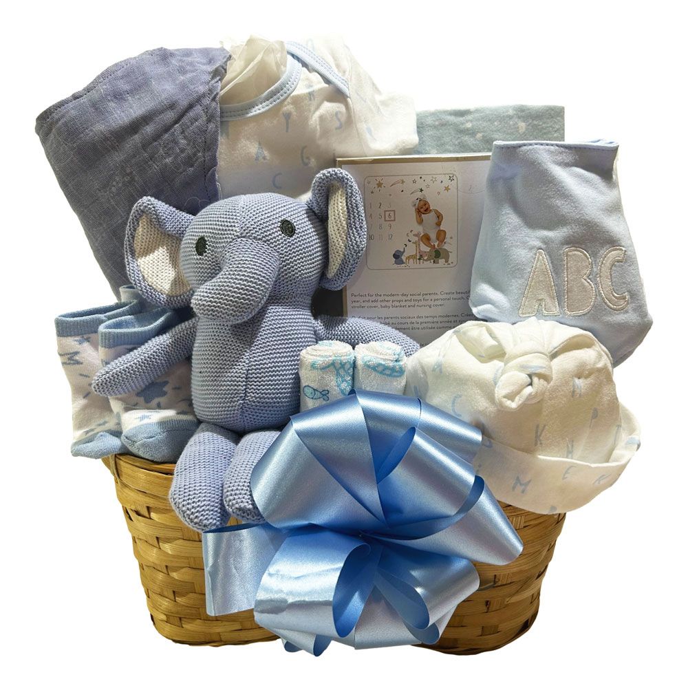 Newborn Snuggles Basket - Blue