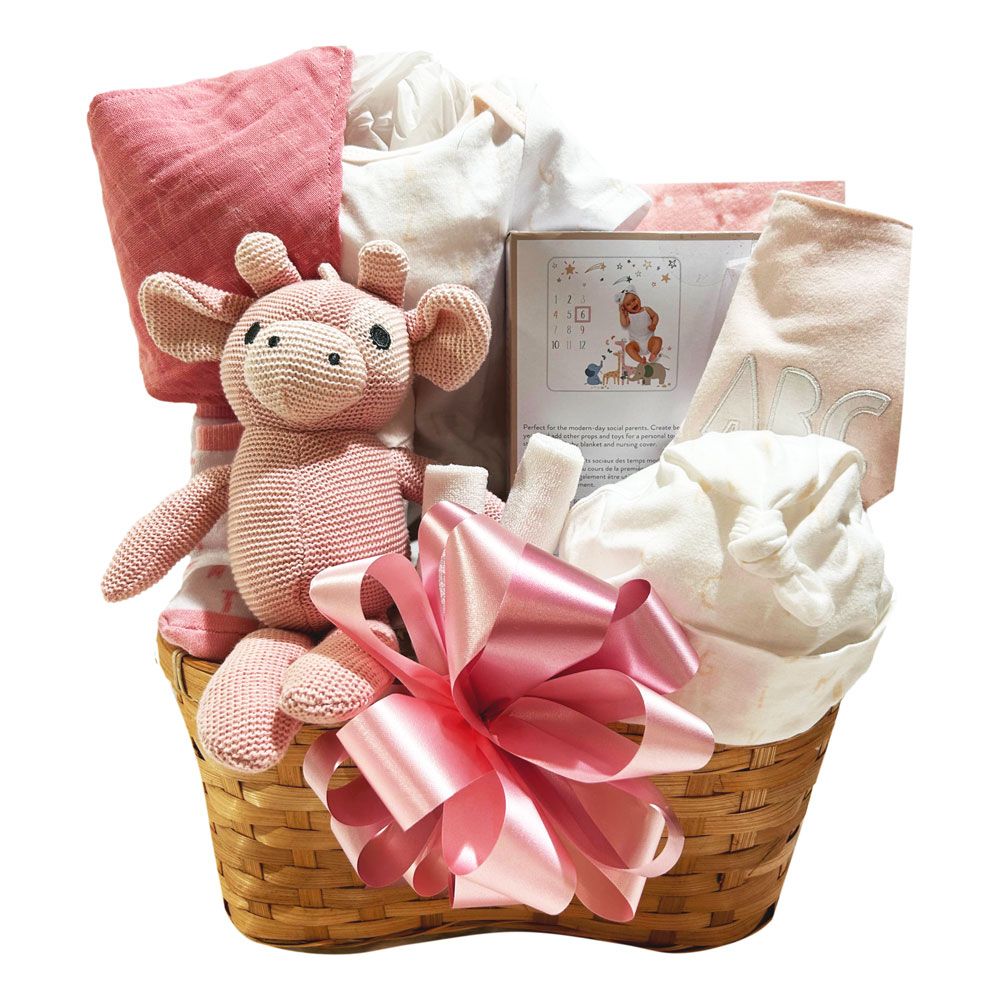 Newborn Snuggles Basket - Pink