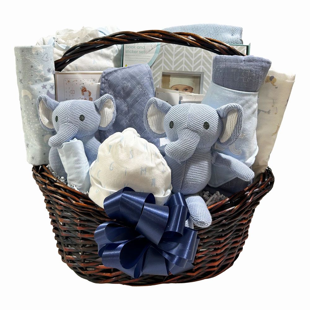 Newborn Milestones Deluxe Basket - Blue