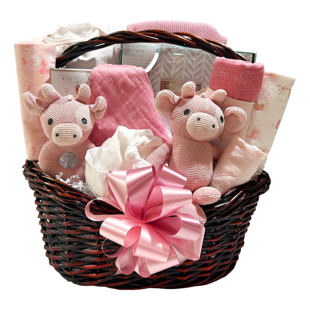 Newborn Milestones Deluxe Basket - Pink