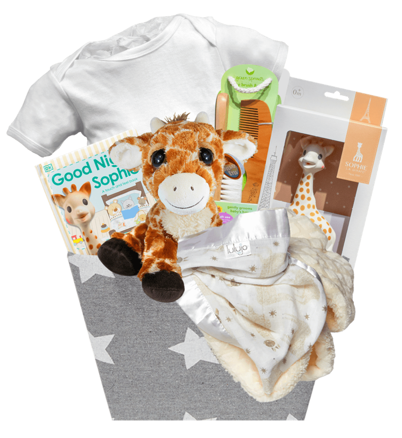 Sophie the Giraffe Gift Basket for New Baby