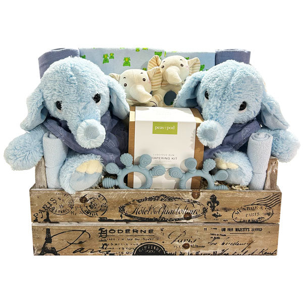 Double The Fun New Baby Gift Set - Blue