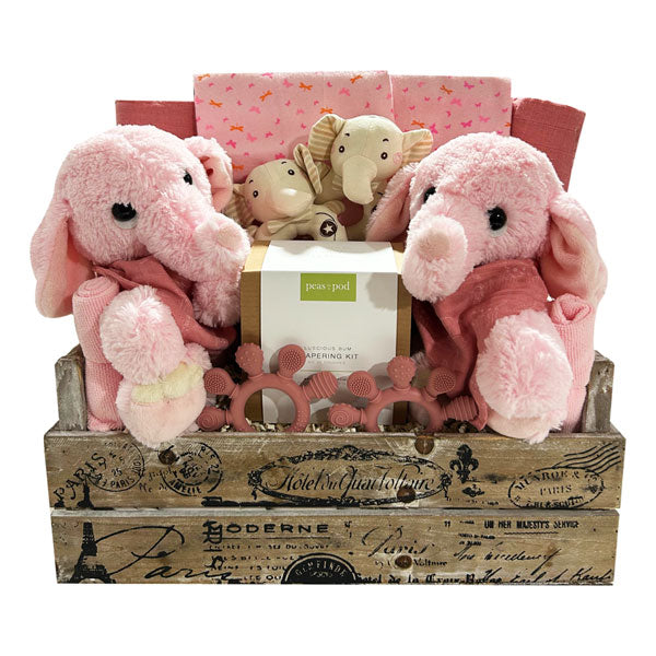 Double The Fun New Baby Gift Set - Pink