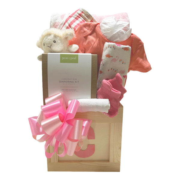 Bonjour Baby Gift Box - Pink