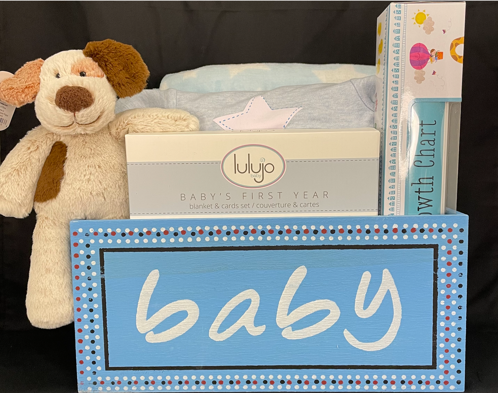 Baby Milestones Gift Set - Blue