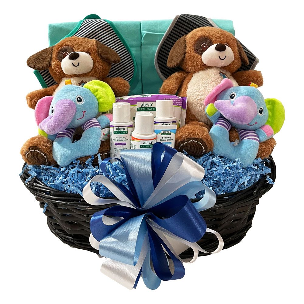 Double The Fun New Baby Gift Set - Blue