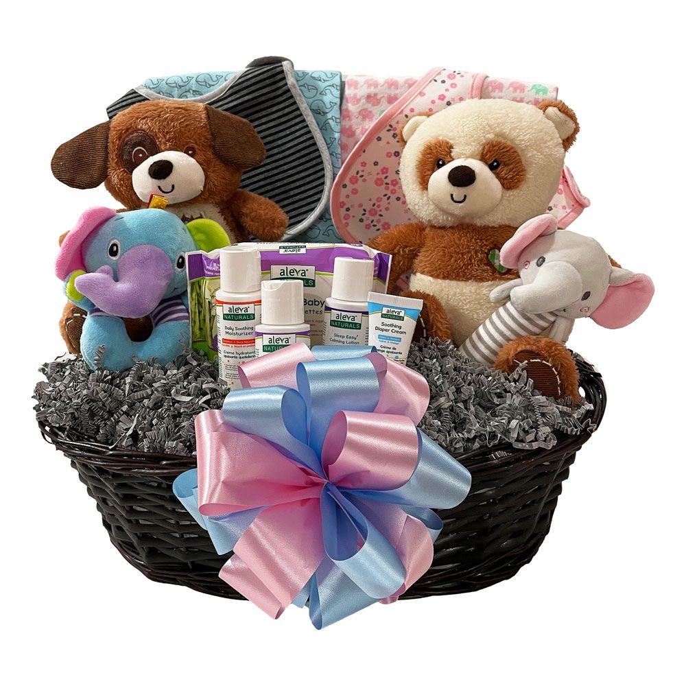 Double The Fun New Baby Gift Set - Blue and Pink