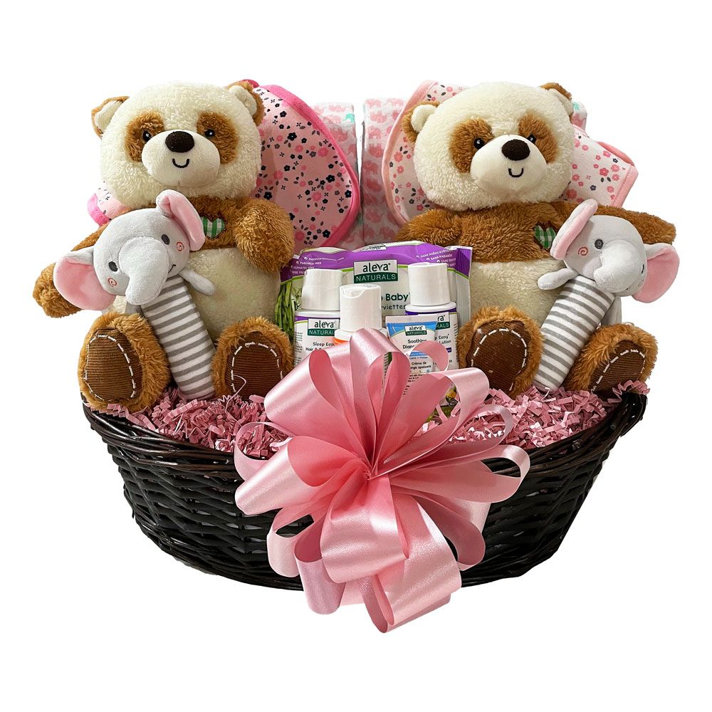 Double The Fun New Baby Gift Set - Pink