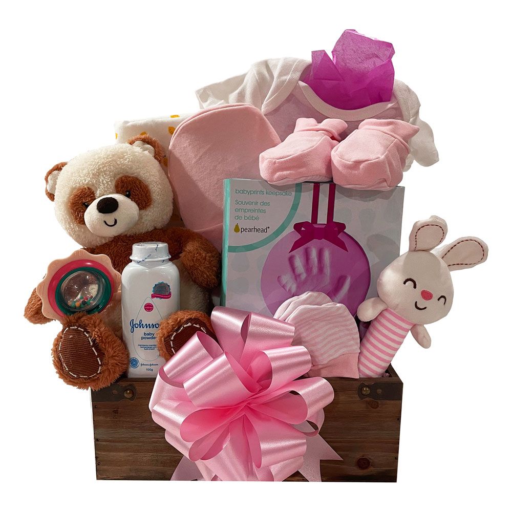 Baby Girl Welcome Box - Pink